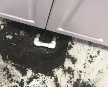 石嘴山查漏水哪家好